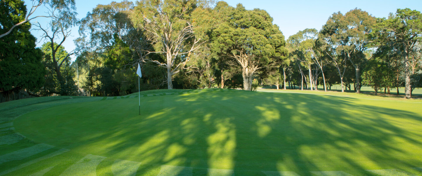 Melbourne play golf