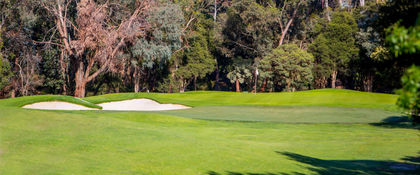 Golfing courses in Box Hill Australia