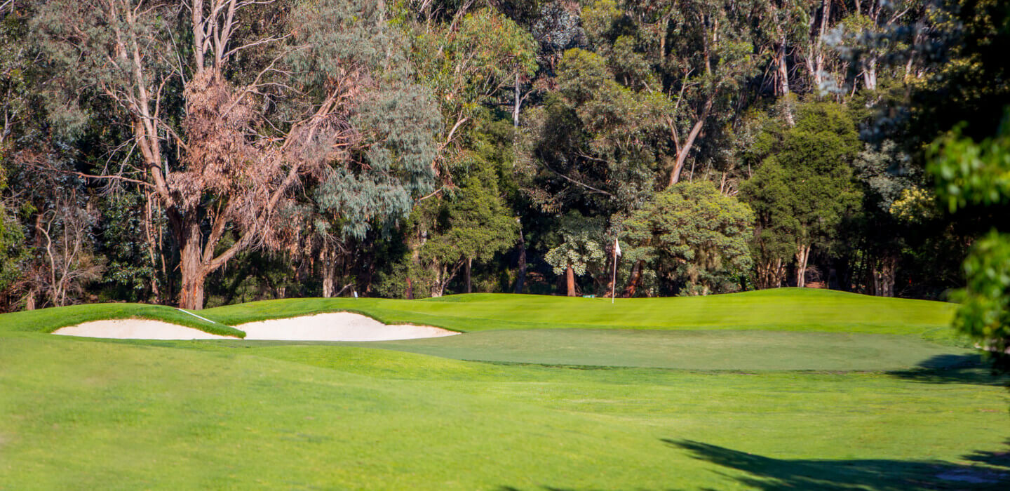 Golf courses in Box Hill