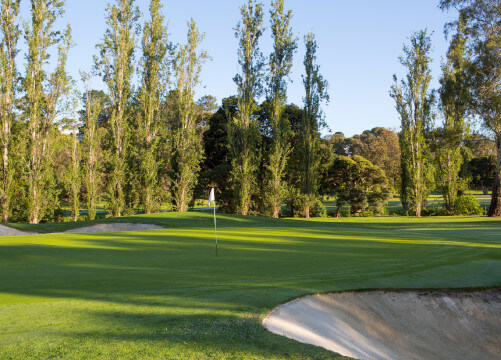 box hill golf bunker