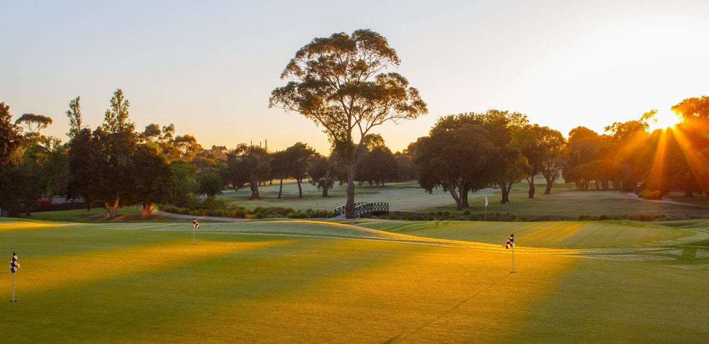 Golf Club Box Hill Membership