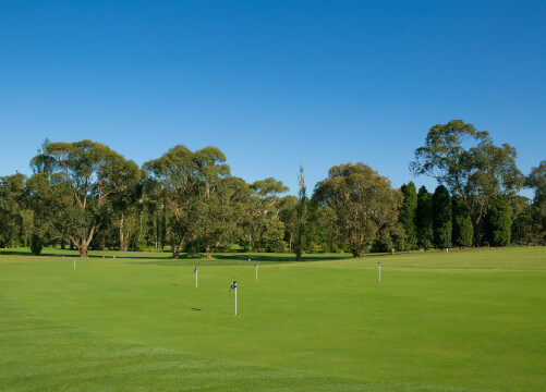 learn playing golf melbourne